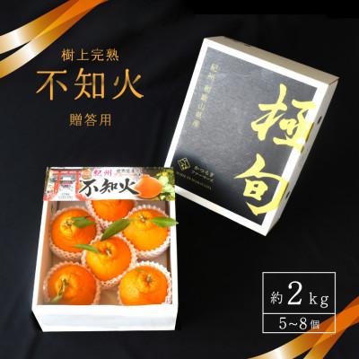 ふるさと納税 印南町 先行予約![贈答用化粧箱入] 不知火 樹上完熟 約2kg (5〜8個入)