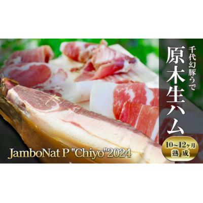ふるさと納税 長和町 千代幻豚うで原木生ハム10〜12ヶ月熟成 JamboNat P Chiyo 2024