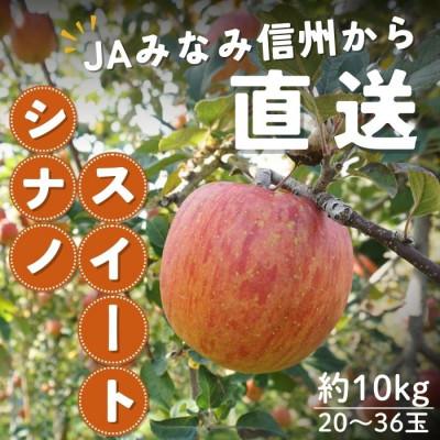 ふるさと納税 豊丘村 [南信州産]シナノスイート 秀品 約10kg(20〜36玉) 10月上旬〜順次発送