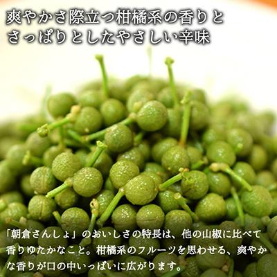 ふるさと納税 養父市 朝倉さんしょ 1kg 実山椒 生山椒 クール便 冷蔵