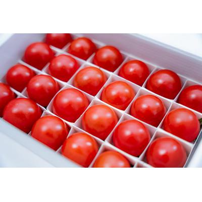 ふるさと納税 桶川市 [大人気ギフト]極甘高糖度フルーツトマト「ポモ・ロッサ」 24粒入りギフトボックス
