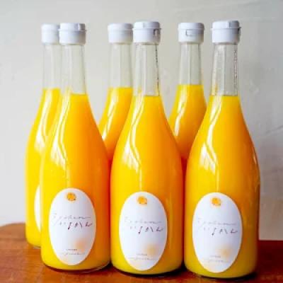 ふるさと納税 松山市 [予約受付]いよかんストレート果汁100%ジュース 720ml × 6本