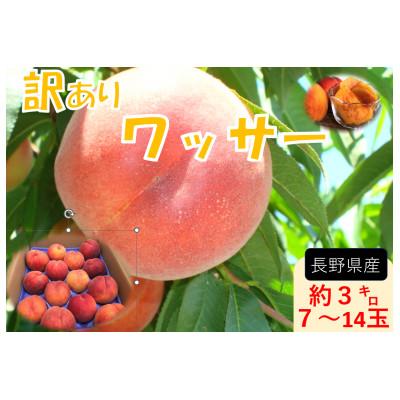 ふるさと納税 長野市 [2026年発送]フルーツ果物王国長野県信州直送 [訳あり][家庭用]ワッサー7月下旬頃発送開始予定