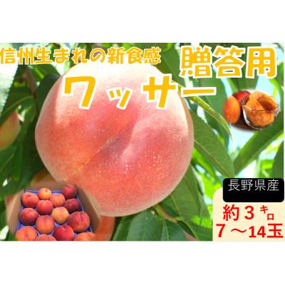 ふるさと納税 長野市 [2026年発送]フルーツ果物王国 長野県信州直送ワッサー[秀品][贈答品]7月下旬頃発送開始予定