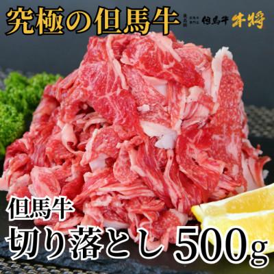 ふるさと納税 香美町 兵庫県産但馬牛切落し500g 02-02