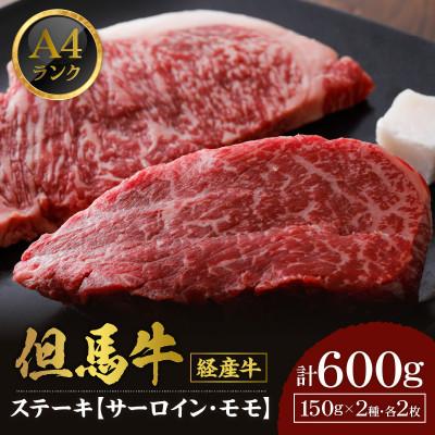 ふるさと納税 香美町 兵庫県美方郡産 母さん但馬牛サーロイン&amp;モモステーキ600g 02-29