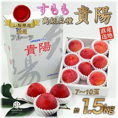 ふるさと納税 甲州市 [2025年先行受付]山梨県甲州市産 すもも『貴陽』約1.5kg(化粧箱中玉7〜10玉)