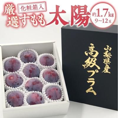 ふるさと納税 甲州市 [2025年先行受付]山梨県甲州市産 すもも『太陽』約1.7kg(化粧箱9〜12玉)