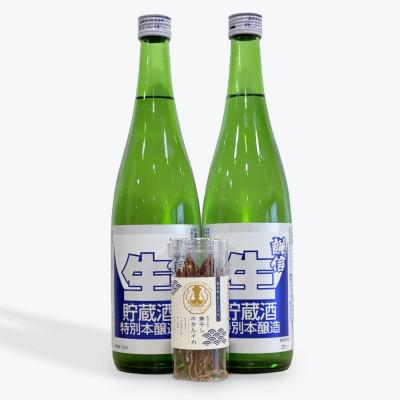 ふるさと納税 糸魚川市 糸魚川地酒 謙信 特別本醸造生貯蔵酒 720ml×2本 お酒と相性抜群の素干しホタルイカ付き!