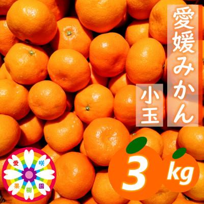 ふるさと納税 八幡浜市 「 愛媛 みかん 」 小玉 約3kg[ 愛咲果樹園 ][A71-26]