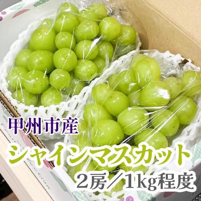 ふるさと納税 甲州市 甘さと香り際立つ山梨県産シャインマスカット2房(合計1kg程度)