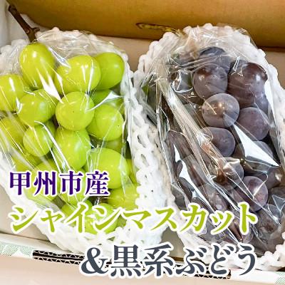 ふるさと納税 甲州市 シャインマスカット&amp;黒系ぶどう 各1房(2房合計1kg程度)