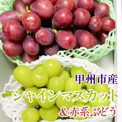 ふるさと納税 甲州市 シャインマスカット&amp;赤系ぶどう 各1房(2房合計1kg程度)