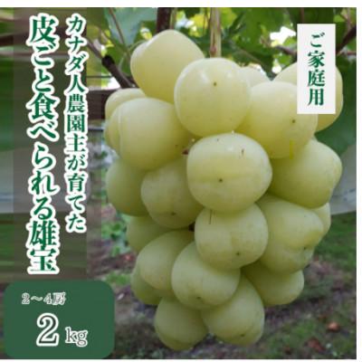 ふるさと納税 世羅町 [カナダ人農園主の真心を込めた]皮ごと食べられる雄宝 約2kg(数量限定)