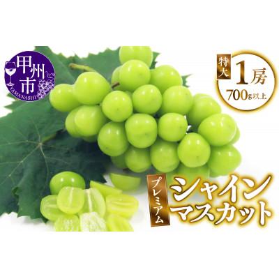ふるさと納税 甲州市 [2025年先行受付]山梨県甲州市産 厳選 プレミアムシャインマスカット 1房入り 700g以上