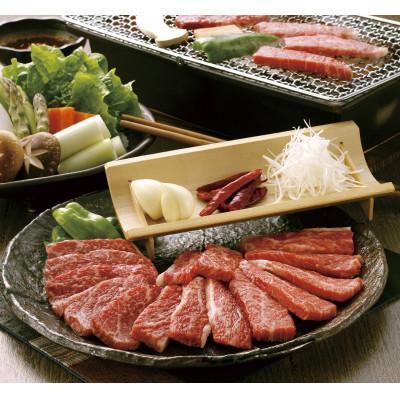 ふるさと納税 長洲町 [GI認証]くまもとあか牛 焼肉用500g(長洲町)
