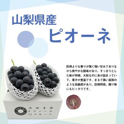 ふるさと納税 甲州市 【2026年発送】厳選 ピオーネ 2房(計1.0kg以上
