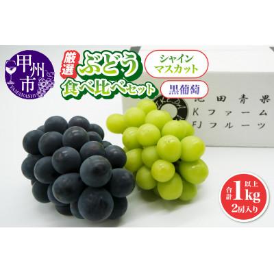 ふるさと納税 甲州市 [2026年発送]厳選 葡萄食べ比べセット 2房入り(計1.0kg以上)(IS)B-474