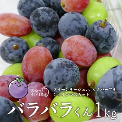 ふるさと納税 長野県 【訳あり品】バラバラくん3色1kg(ナガノパープル・クイーンルージュ(R) ・シャインマスカット) | 