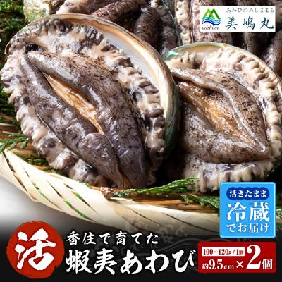 ふるさと納税 香美町 活あわび 養殖 9.5cm×2枚 200〜240g　20-12 | 