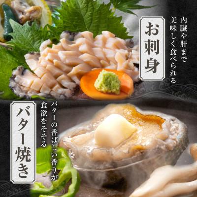 ふるさと納税 香美町 活あわび 養殖 9.5cm×2枚 200〜240g　20-12 |  | 01