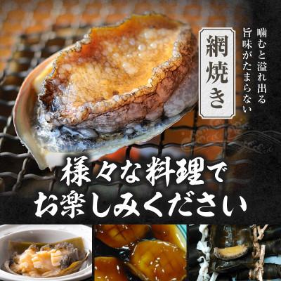 ふるさと納税 香美町 活あわび 養殖 9.5cm×2枚 200〜240g　20-12 |  | 02