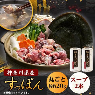 ふるさと納税 山北町 [のし付き]神奈川産すっぽん鍋丸ごと1匹(620g)&amp;濃厚すっぽんスープ2本(各180g)セット
