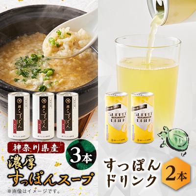 ふるさと納税 山北町 [のし付き]濃厚すっぽんスープ3本&amp;すっぽんドリンク2本セット