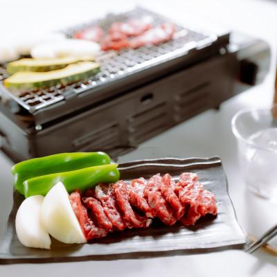 ふるさと納税 合志市 [桜屋]馬肉焼肉用500gカット済(合志市)