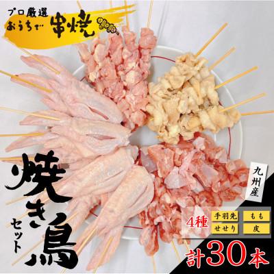 ふるさと納税 南島原市 九州産鶏三昧 焼き鳥4種セット 約40g×30本 手刺し仕上げ