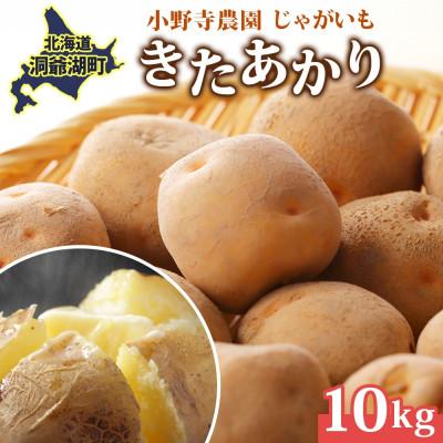 ふるさと納税 洞爺湖町 じゃがいも きたあかり 10kg 先行受付 産地直送 北海道 洞爺湖 2026年9月下旬以降順次発送