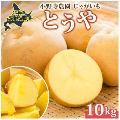 ふるさと納税 洞爺湖町 じゃがいも とうや 10kg 先行受付 産地直送 北海道 洞爺湖 2025年10月初旬より順次発送