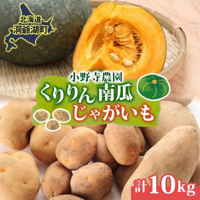 ふるさと納税 洞爺湖町 南瓜 くりりん じゃがいも 産地直送 計10kg 北海道 洞爺湖町 2026年9月下旬以降順次発送