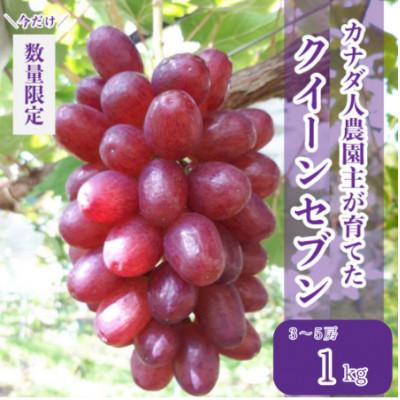 ふるさと納税 世羅町 [カナダ人農園主の真心を込めた]皮ごと食べられるクイーンセブン 約1kg