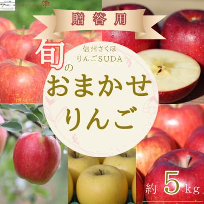 ふるさと納税 佐久穂町 農園にお任せ旬のリンゴ 5kg入り贈答箱[限定50箱][RS-104]