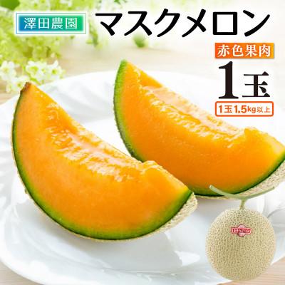 ふるさと納税 あわら市 [先行予約]赤肉マスクメロン(1.5kg以上 1玉入)