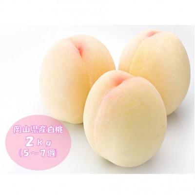 ふるさと納税 美咲町 [2026年発送分]岡山県産 晴れの国おかやまの白桃 2kg 5〜7玉 化粧箱入り