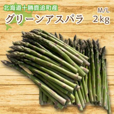 ふるさと納税 鹿追町 グリーンアスパラ(2kg)M/L混合[北海道 十勝 鹿追町]
