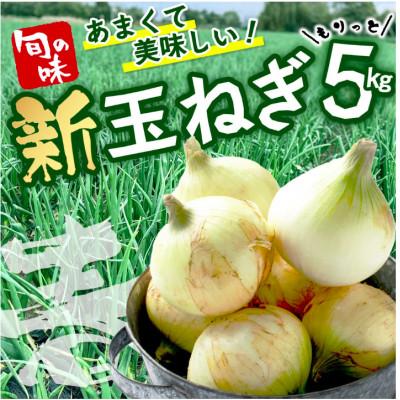 ふるさと納税 鹿島市 令和8年度産[予約]鹿島市産 新玉ねぎ 合計5kg