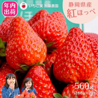 ふるさと納税 静岡市 [先行予約受付中][年内配送!!]静岡県産紅ほっぺ 280g×2パック