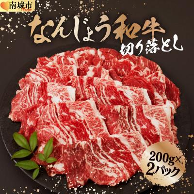 ふるさと納税 南城市 [なんじょう和牛]切り落とし[200g×2パック]