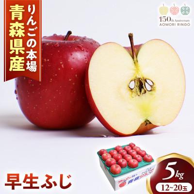 ふるさと納税 三戸町 りんご[早生ふじ]約5kg(12〜20玉)[2026年産・先行予約]9月下旬〜10月下旬頃発送予定