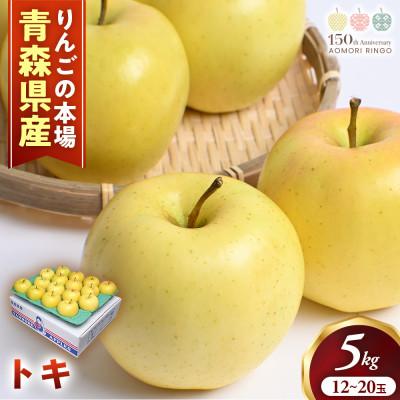 ふるさと納税 三戸町 りんご[トキ]約5kg(12〜20玉)[2026年産・先行予約]9月下旬〜11月上旬頃まで発送予定