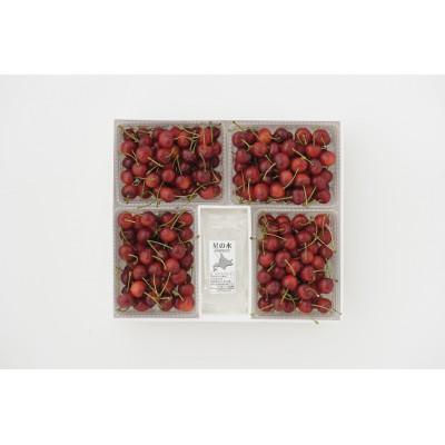 ふるさと納税 芦別市 北海道産 さくらんぼ 勝錦 バラ詰め 計2kg (500g×4パック)