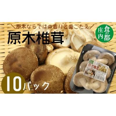 ふるさと納税 三川町 原木椎茸まさに木の子10パック HS4-111