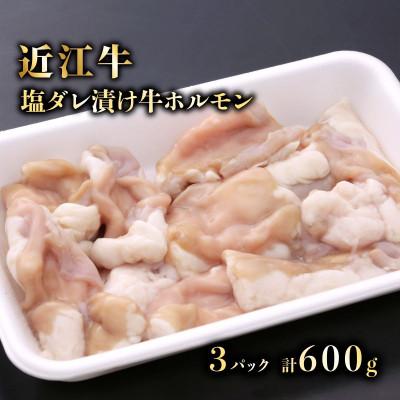 ふるさと納税 彦根市 特選近江牛ホルモン(塩だれタレ漬け)200g×3(計600g) 近江牛A5ランクメス牛一頭買い