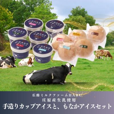 ふるさと納税 庄原市 庄原産生乳使用 手造りカップアイスと、もなかアイスセット