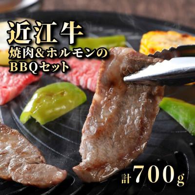 ふるさと納税 彦根市 近江牛焼肉とホルモン 旨味タレ付けミックスセット2〜3人分(BBQセット)計700g