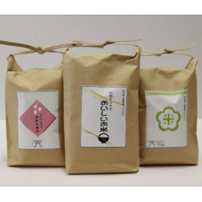 ふるさと納税 京丹後市 令和7年産京丹後・野間産 田渕さんちのおいしいお米 個包装 2合×6袋入 丹後コシヒカリ 1.8kg