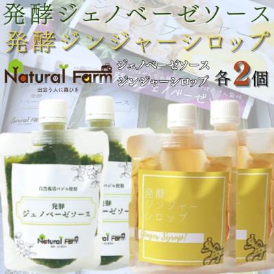 ふるさと納税 枕崎市 発酵ジェノベーゼソース&amp;発酵ジンジャーシロップ 各2パックセット B0-11